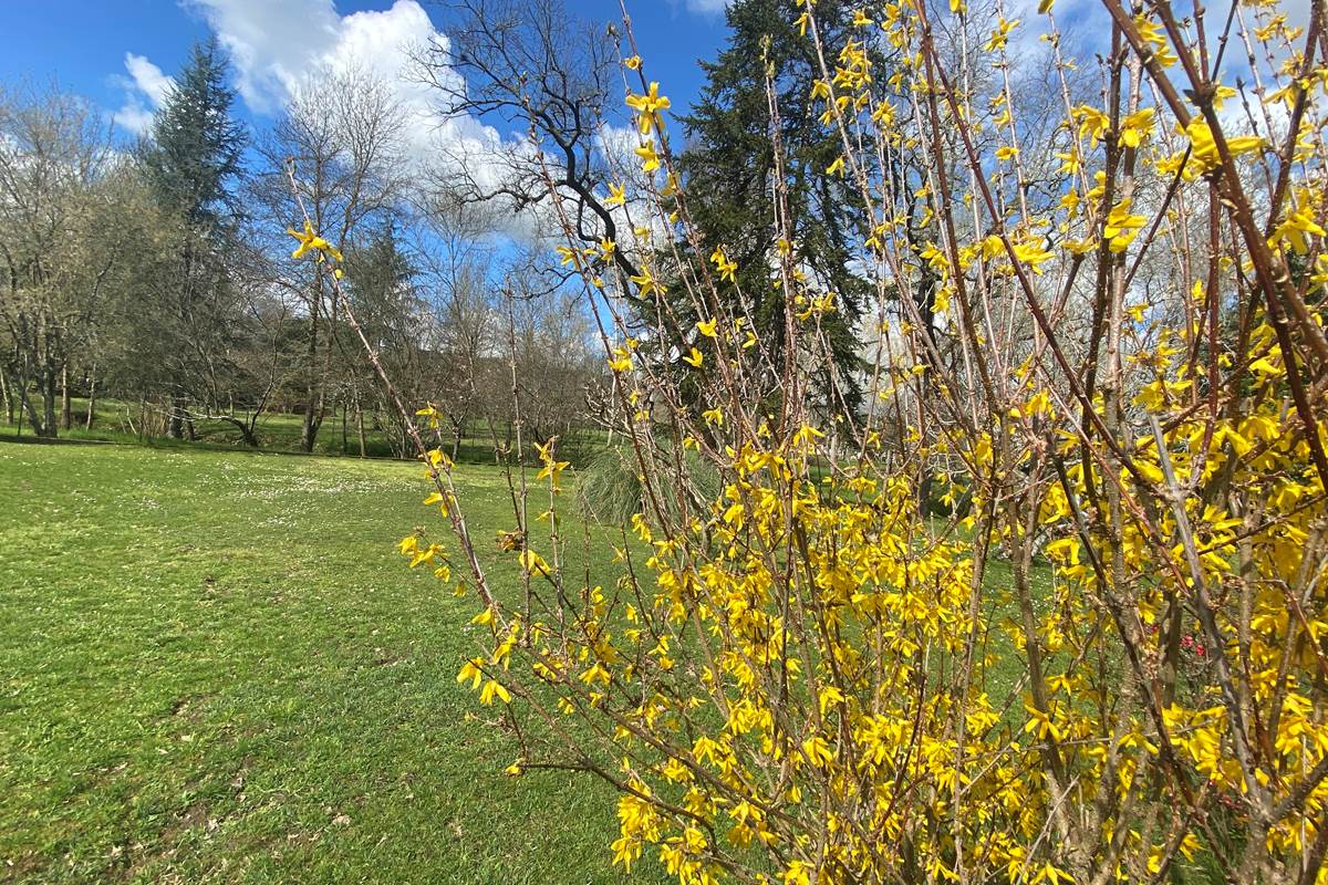 Les Deux Chênes-jardin-arboré-repos-détente-séjour