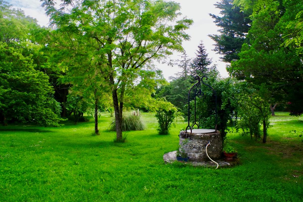 43CA87D3-4950-4484-9E7E-CDBEA6FB215F_1_105_c