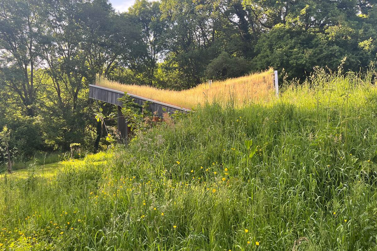 Sous la prairie