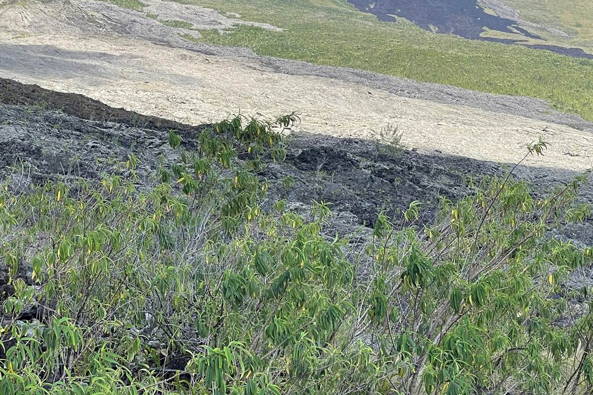 grande-anse-cap-méchant