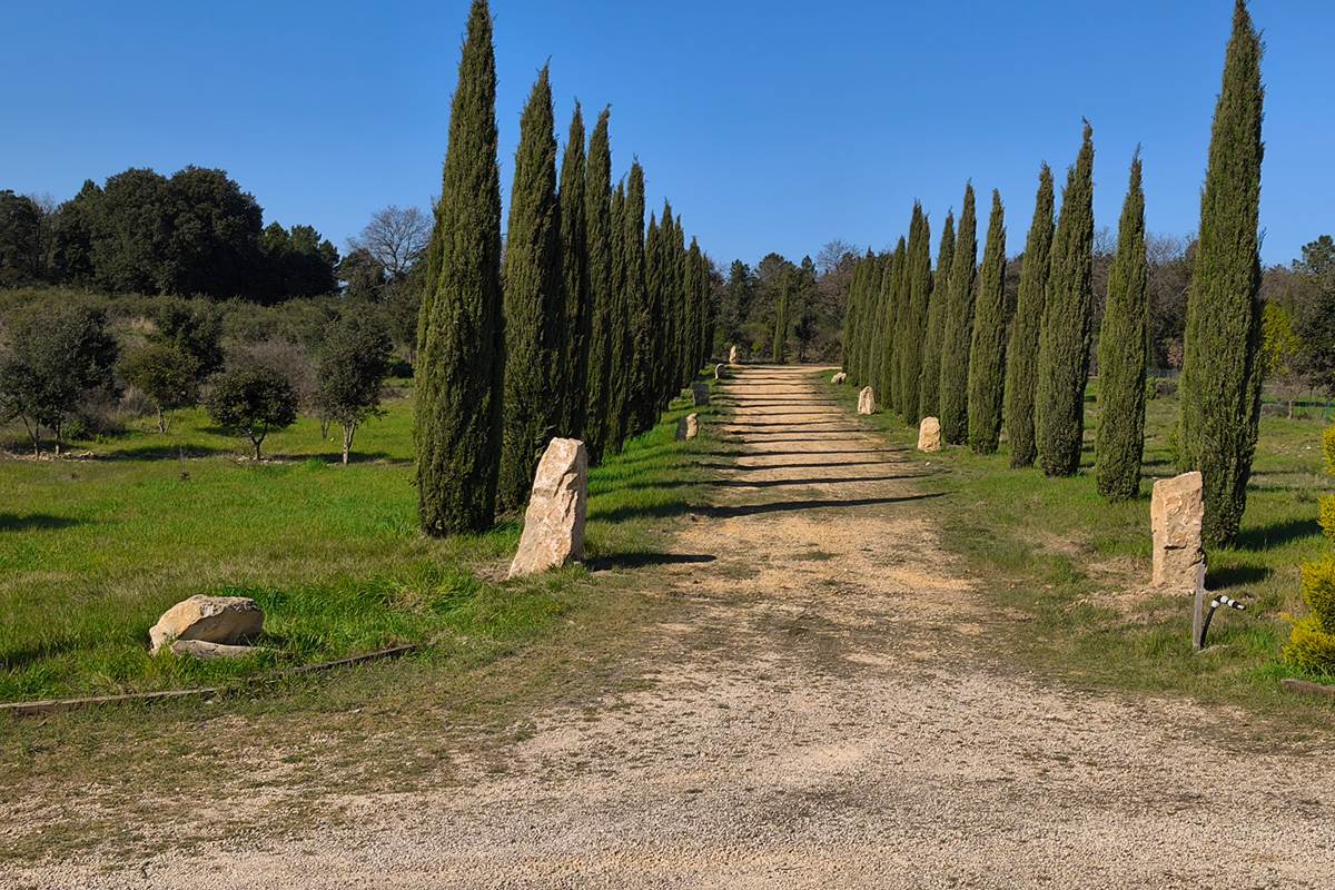 Le Domaine de Jolio - Allée provençale
