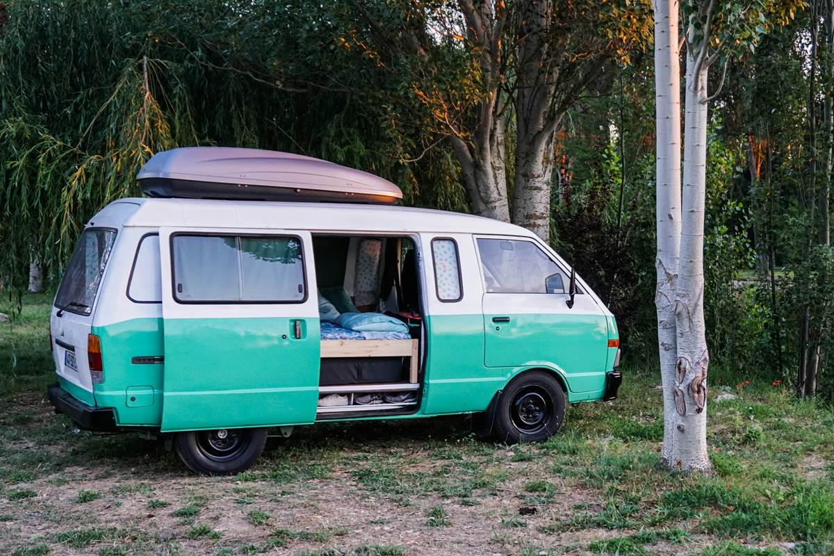 Emplacement à l'ombre du bouleau (Crédit photo : Antonio Araujo - Unsplash)
