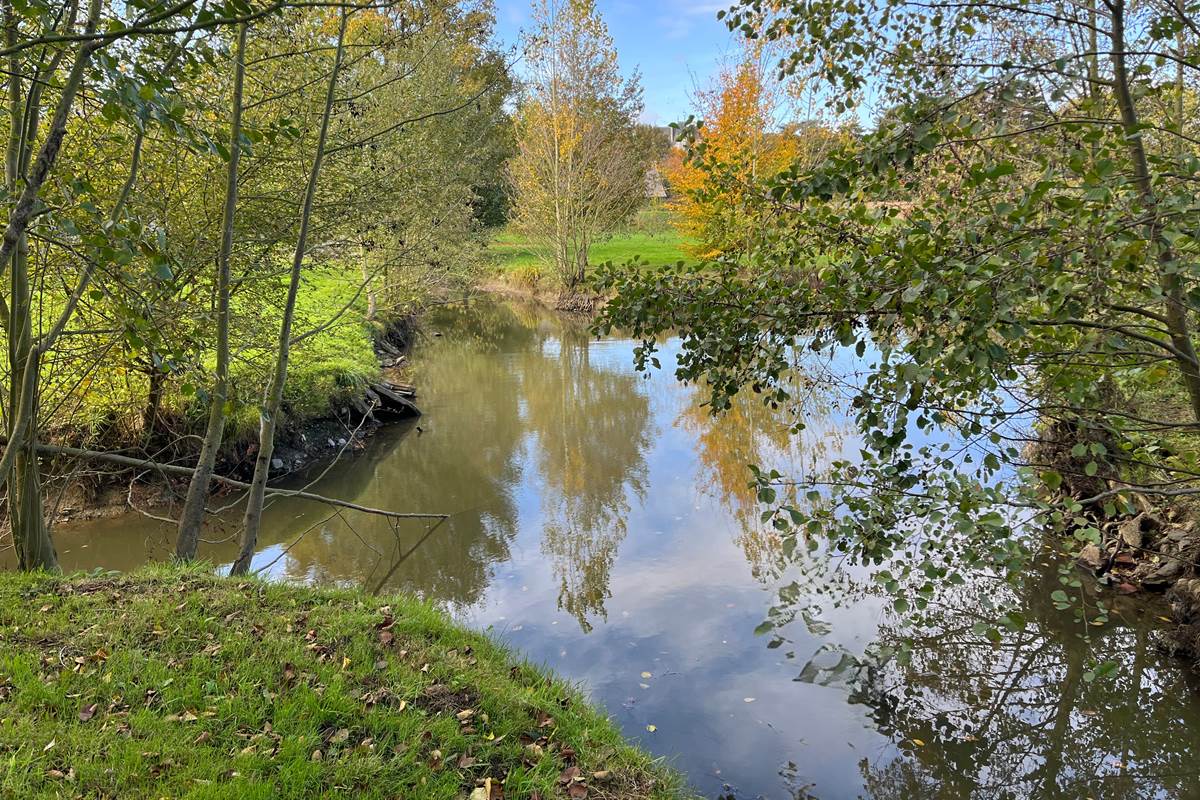 quietude au bord de l'eau