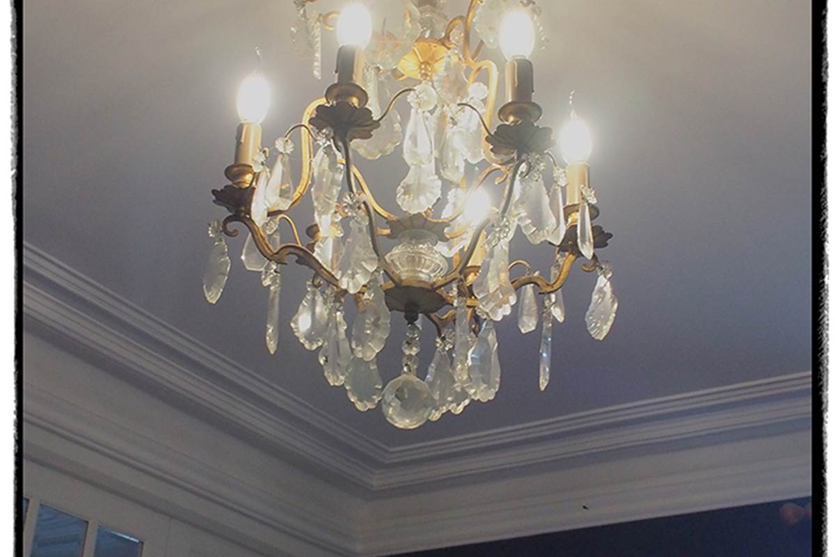 05_Voliere_lustre