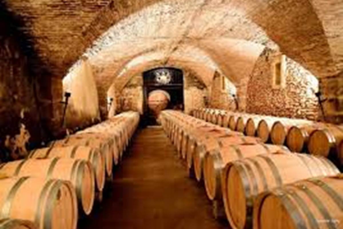 Une des nombreuses caves du vignoble