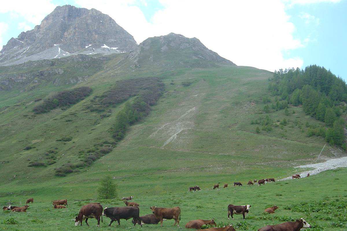 rocher charvet