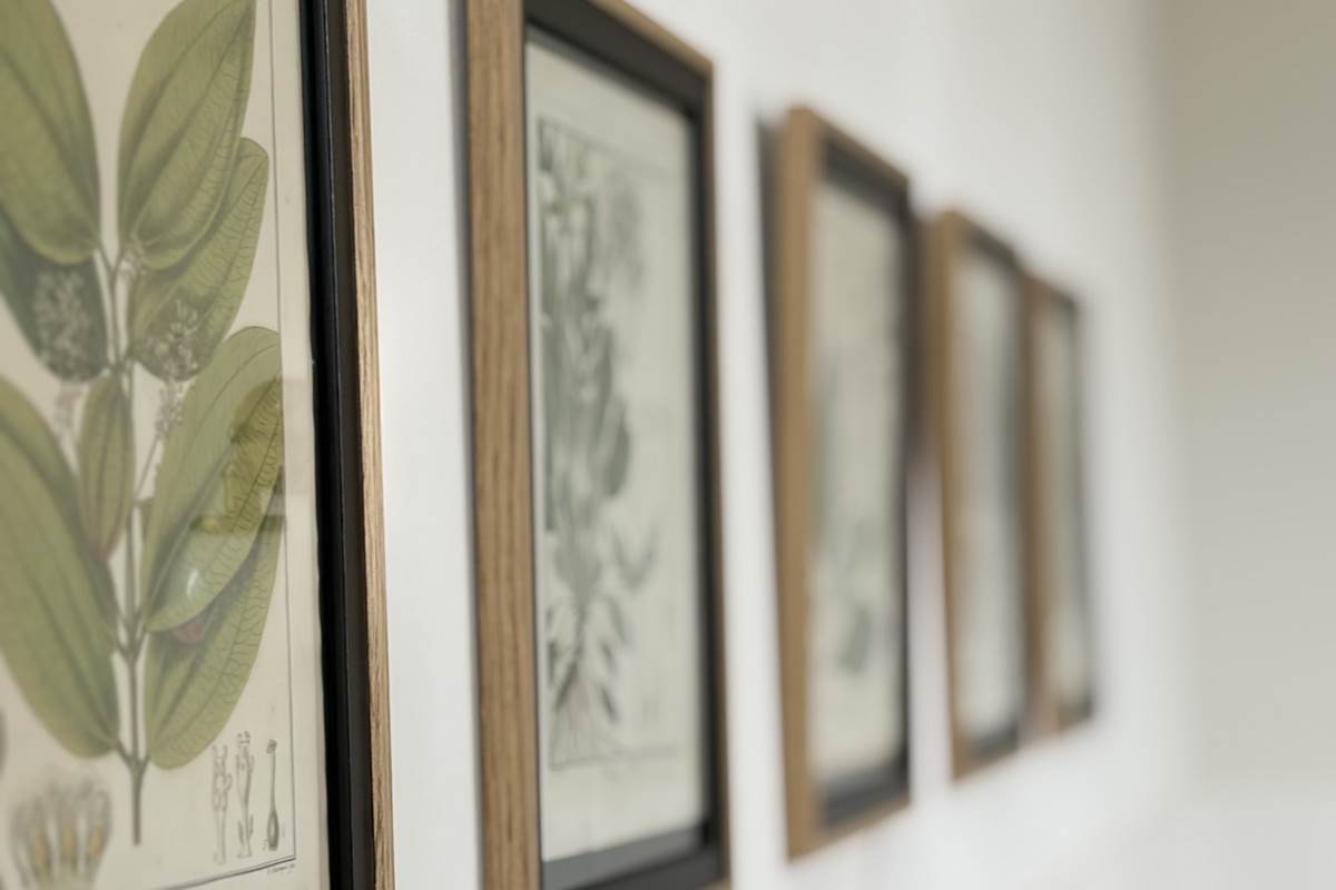 maison-jazey-gravures-botaniques-mur