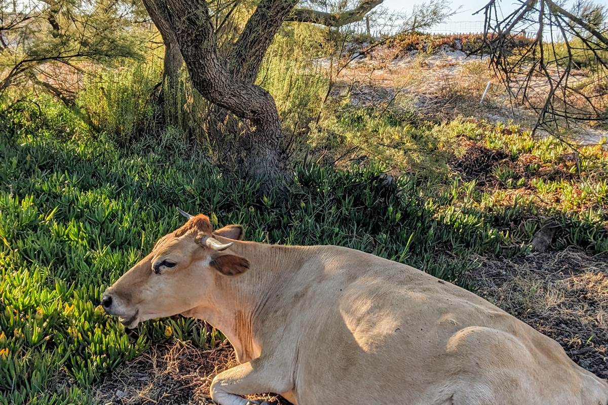 PXL_20250722_171144485