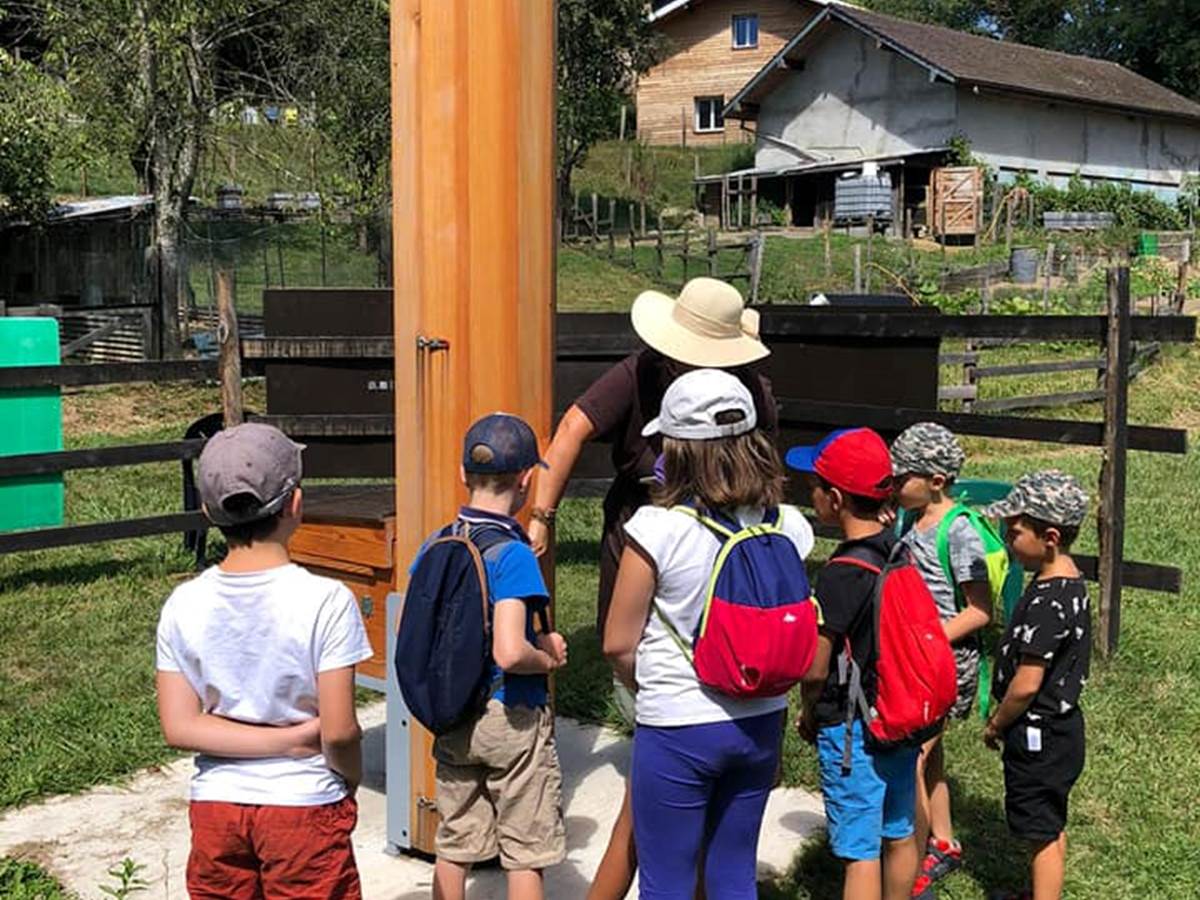 Découverte de la ferme - Les abeilles