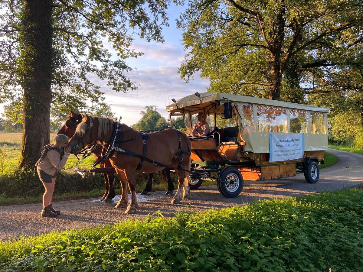 clos-de-l-isop_restaurant_roulotte_limousin_haute-vienne_chevaux_caleches_locations_nature-photo-gallery