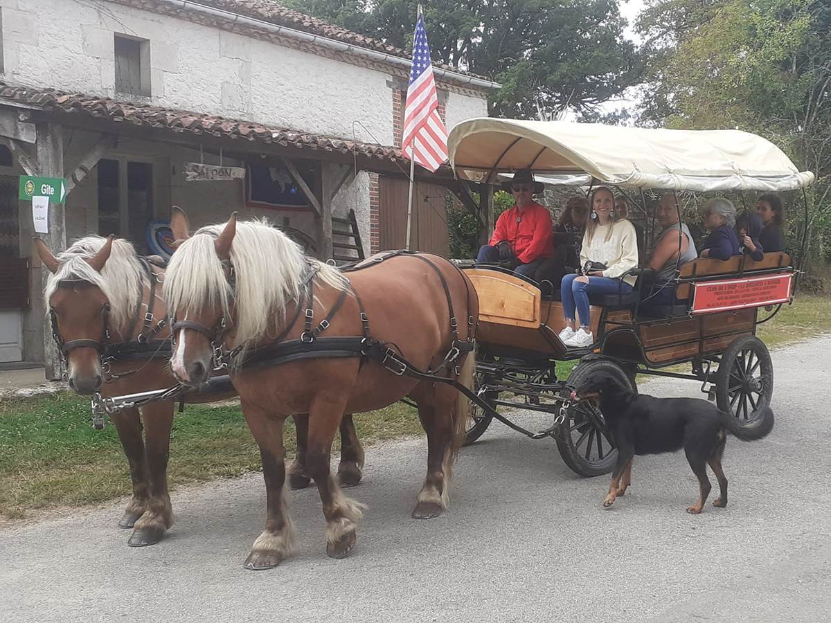 Bapteme en Calèche départ devant le Saloon-photo-gallery