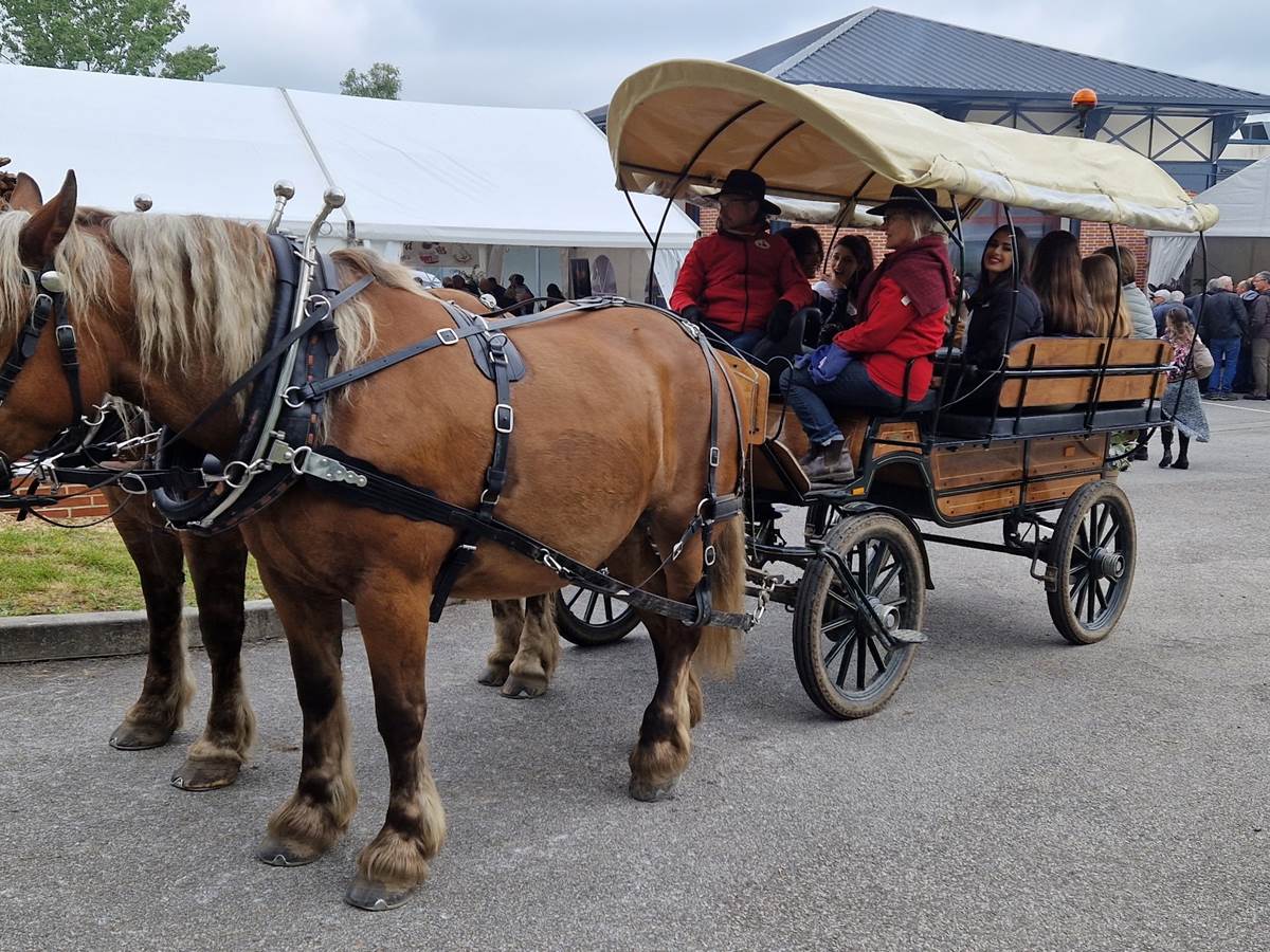 Promenade en Calèche avec Pénélop et Gess calèche Western-photo-gallery