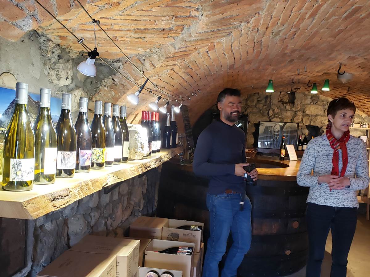 Visite et dégustation des vins à la cave