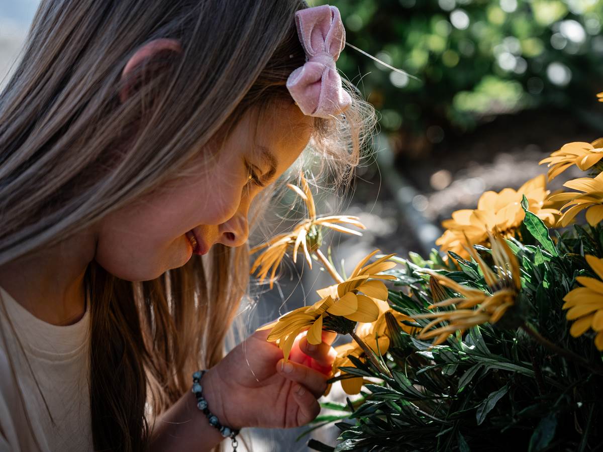 Chateau-fort-Lourdes-visite-Pyrénées-jardin-enfant