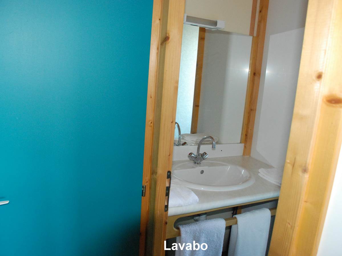 Les Chalets de la Margeride: Le lavabo de la salle d'eau