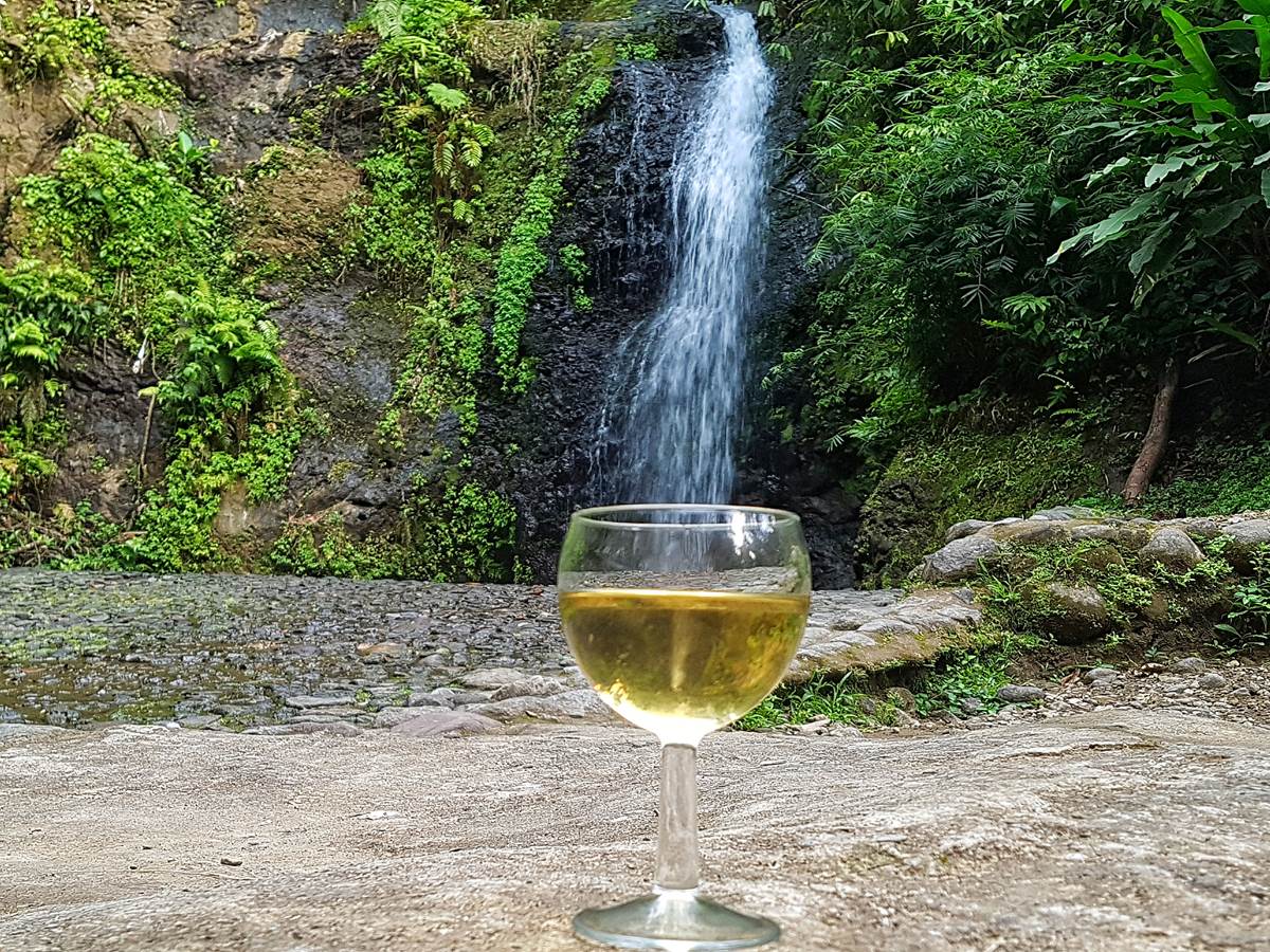 Vin de banane au saut Gendarme - visite excursion gourmande Pile et Face