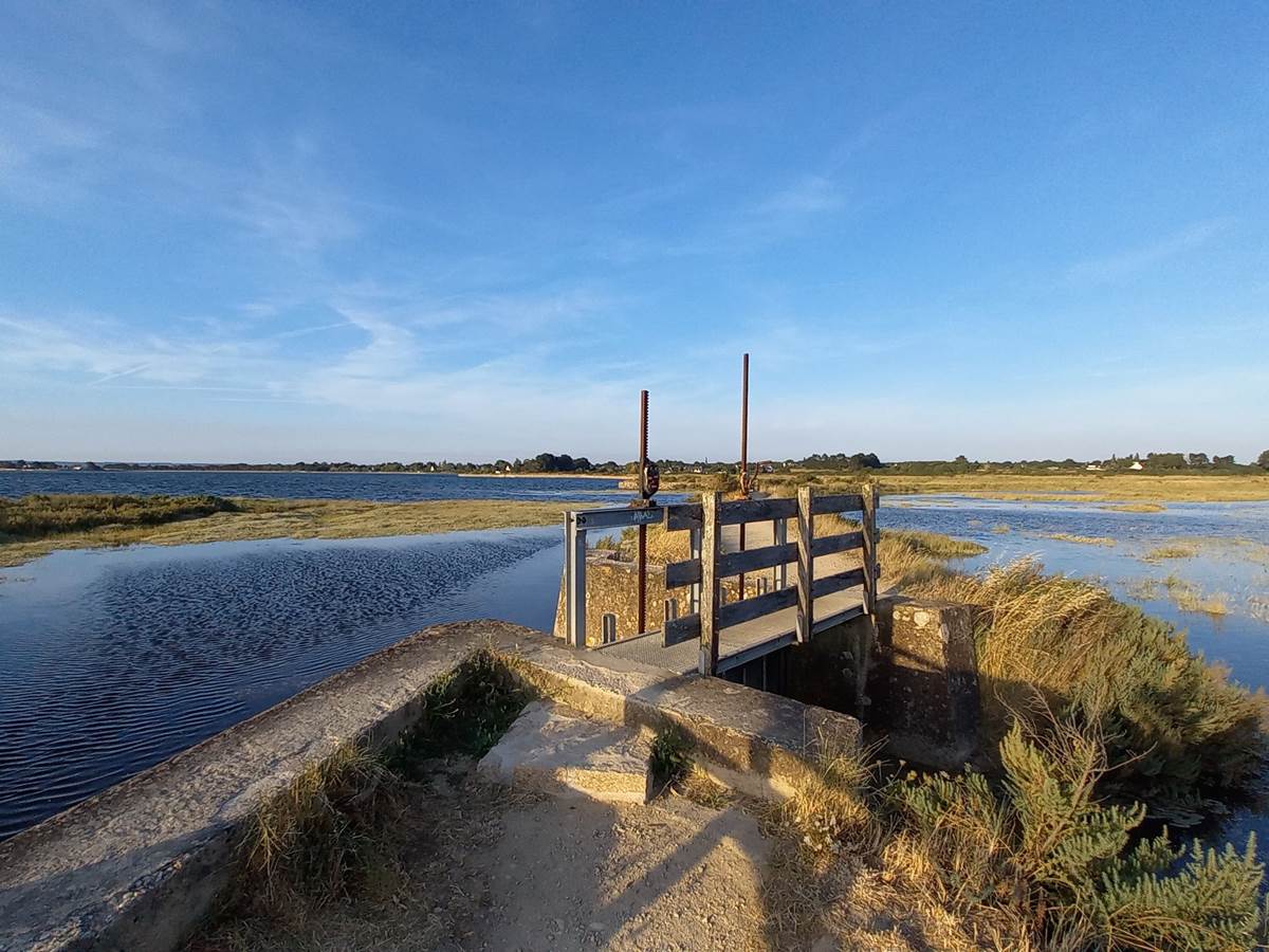 Les marais de Saint Armel - Golfe du Morbihan