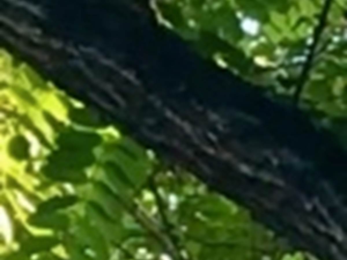 Bergerie en bord d'Aveyron