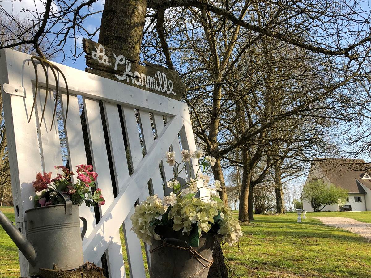 suivez la flèche, c'est par ici !