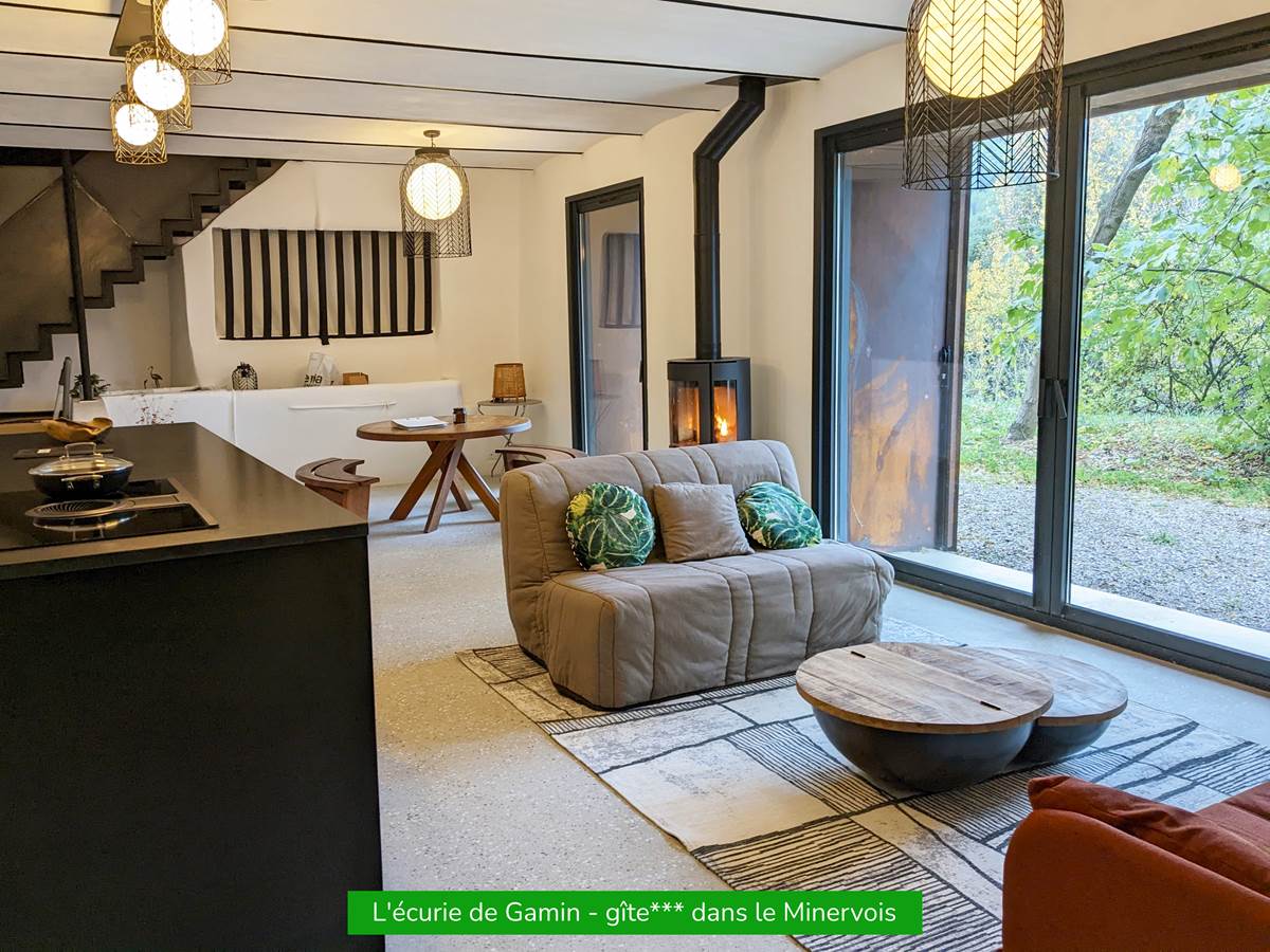 Grande pièce à vivre : salon d'intérieur / 2 canapés / table basse / four à granulés / véranda