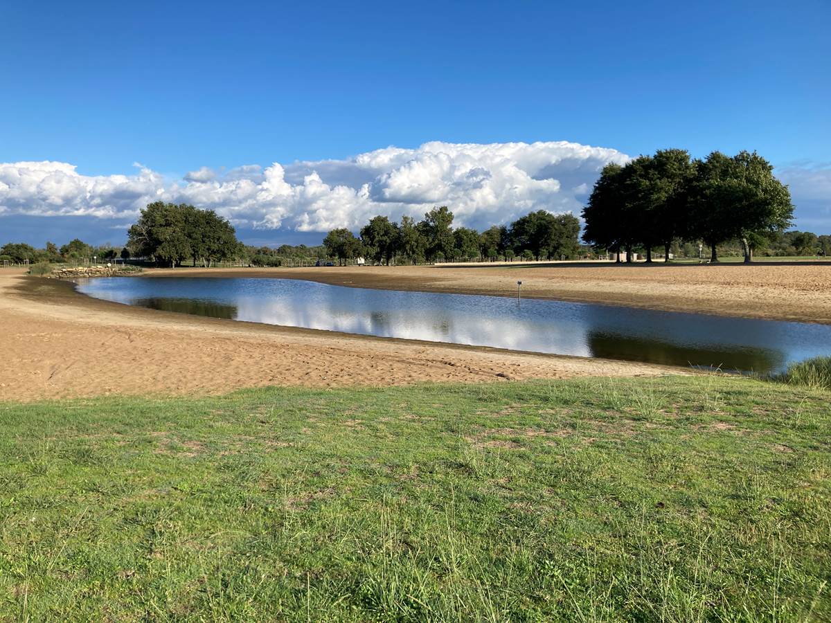 La petite plage-galerie