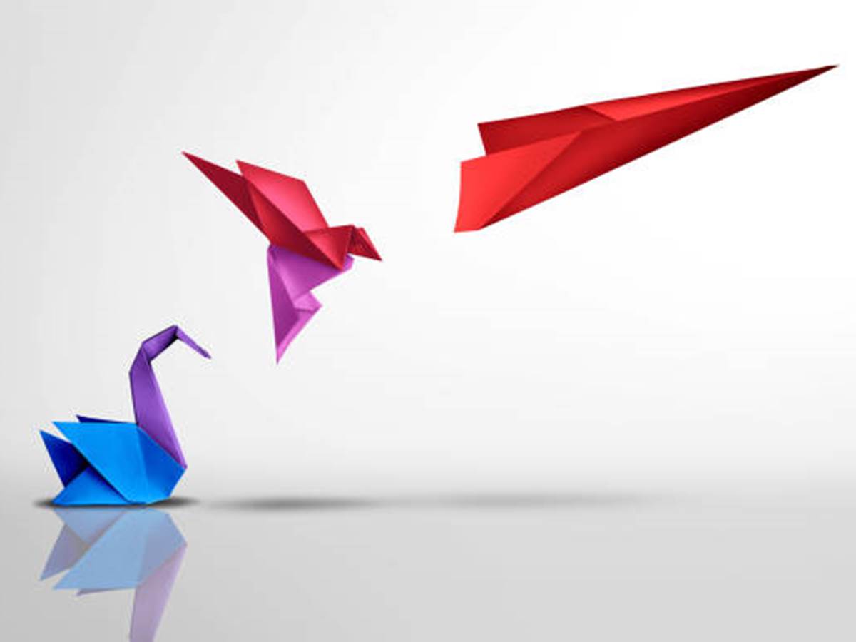 Origami elloha 4-photo-gallery