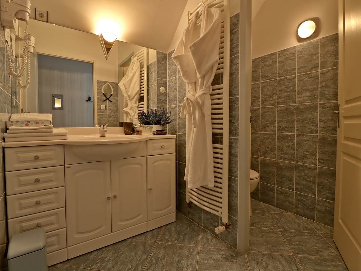 Salle de bain Chambre double de Luxe Le Pas de l' Âne Saint Ondras