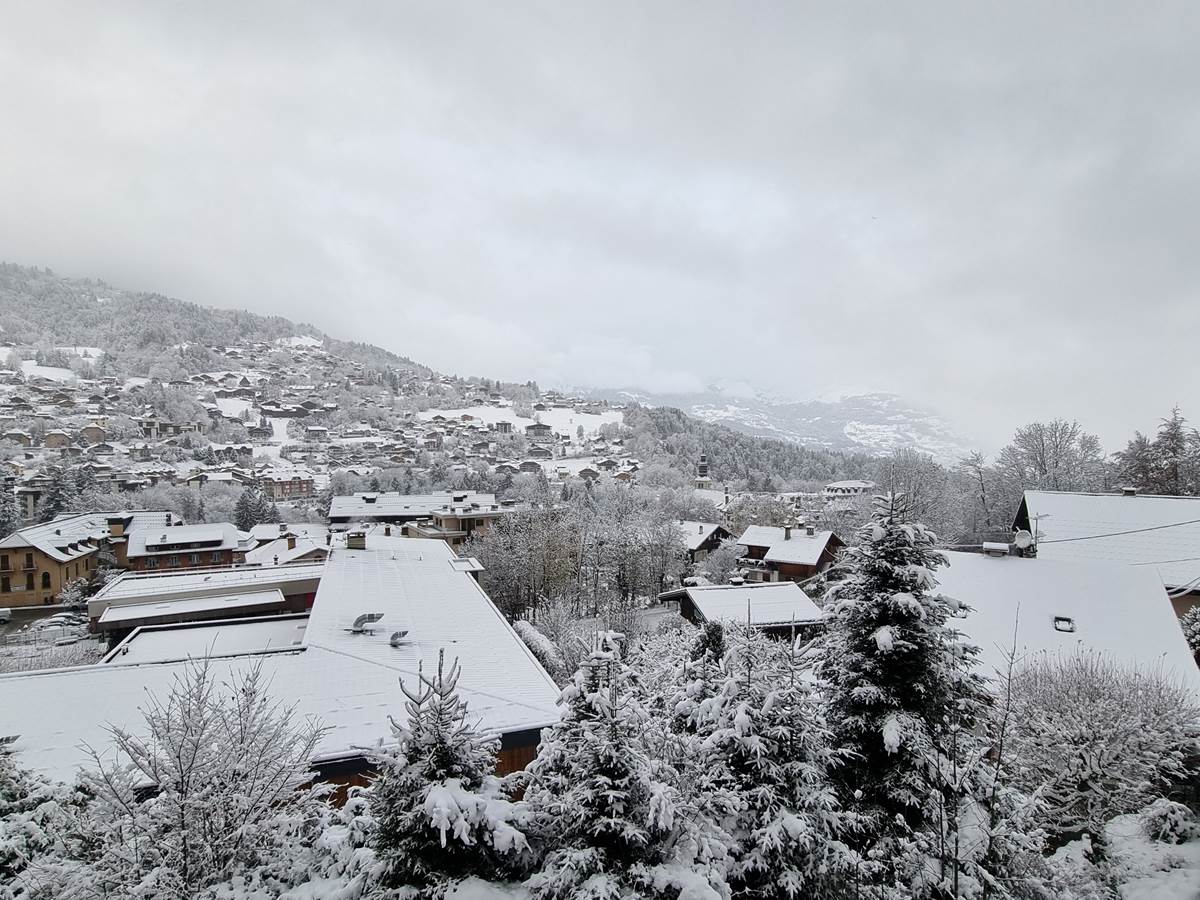 Vue depuis le chalet