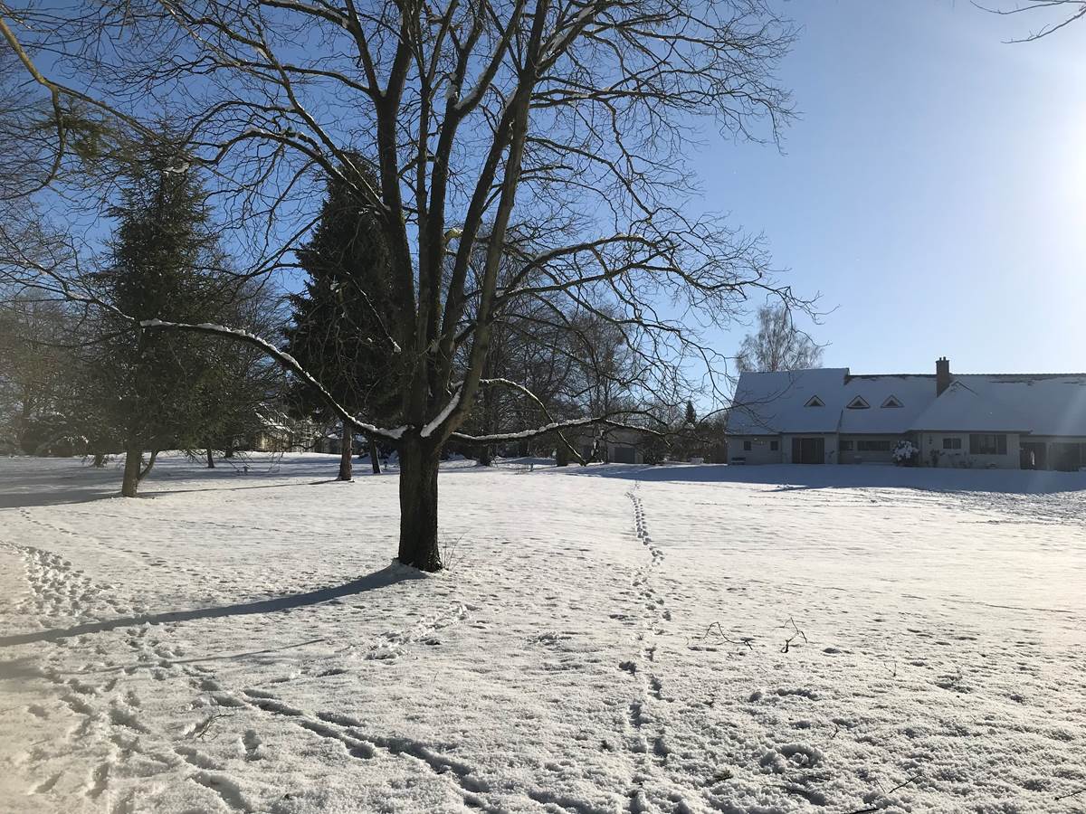 la Charmille et son manteau blanc