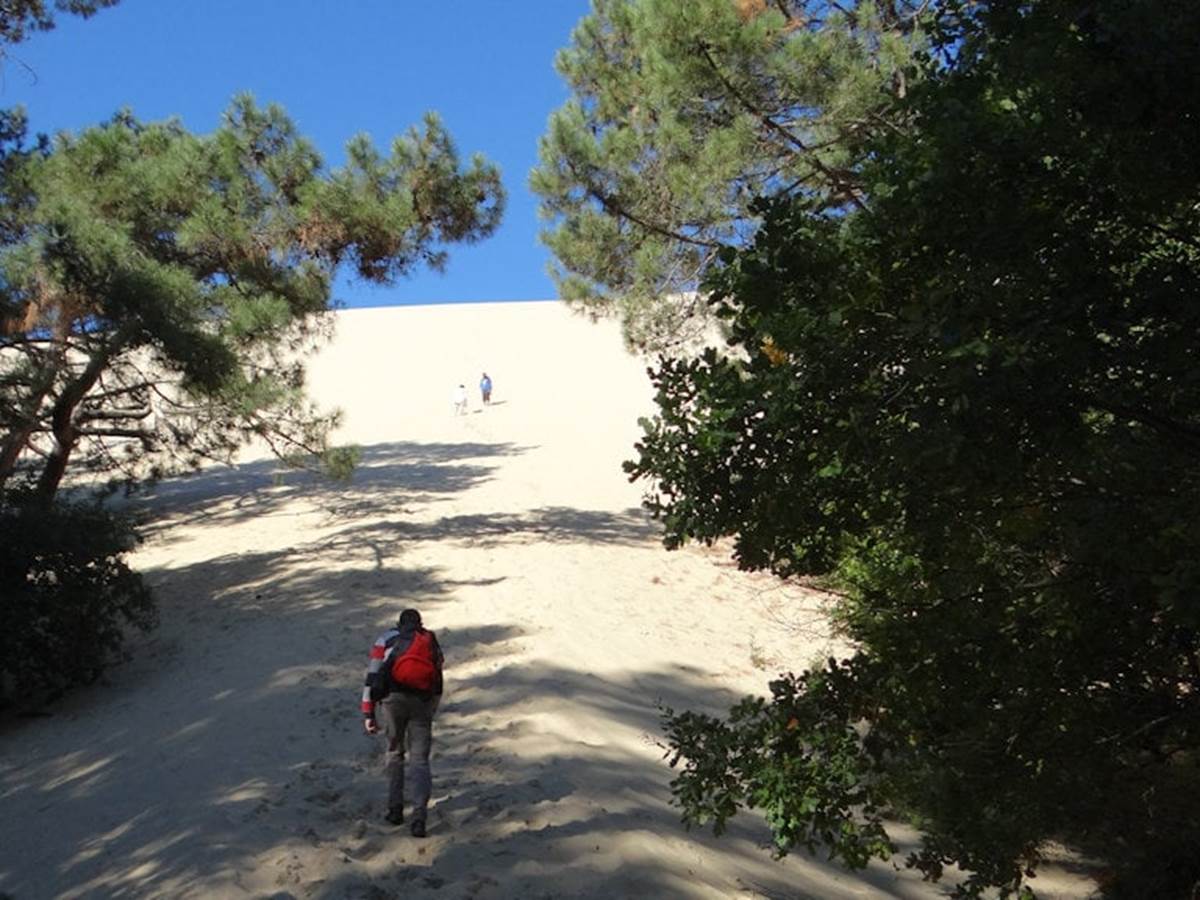 Dune du Pilât