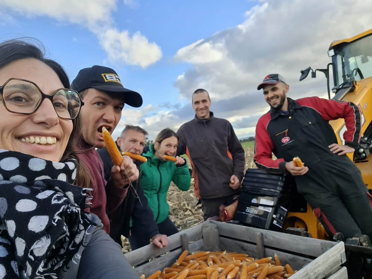 5c81862f-3486-41af-abe0-4365b7f33c5f