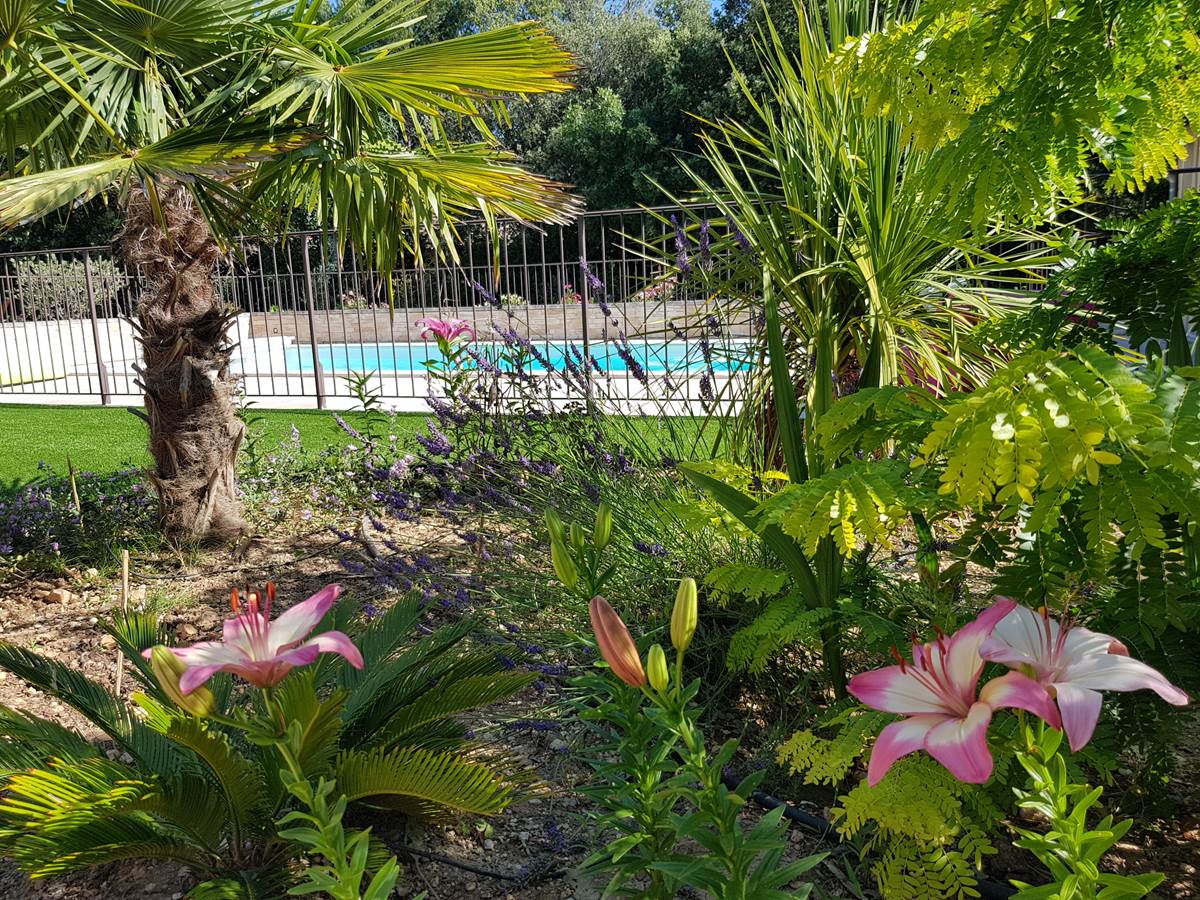 Jardin méditerranéo-provencal de la piscine des gîtes Luberon Lub'heureux