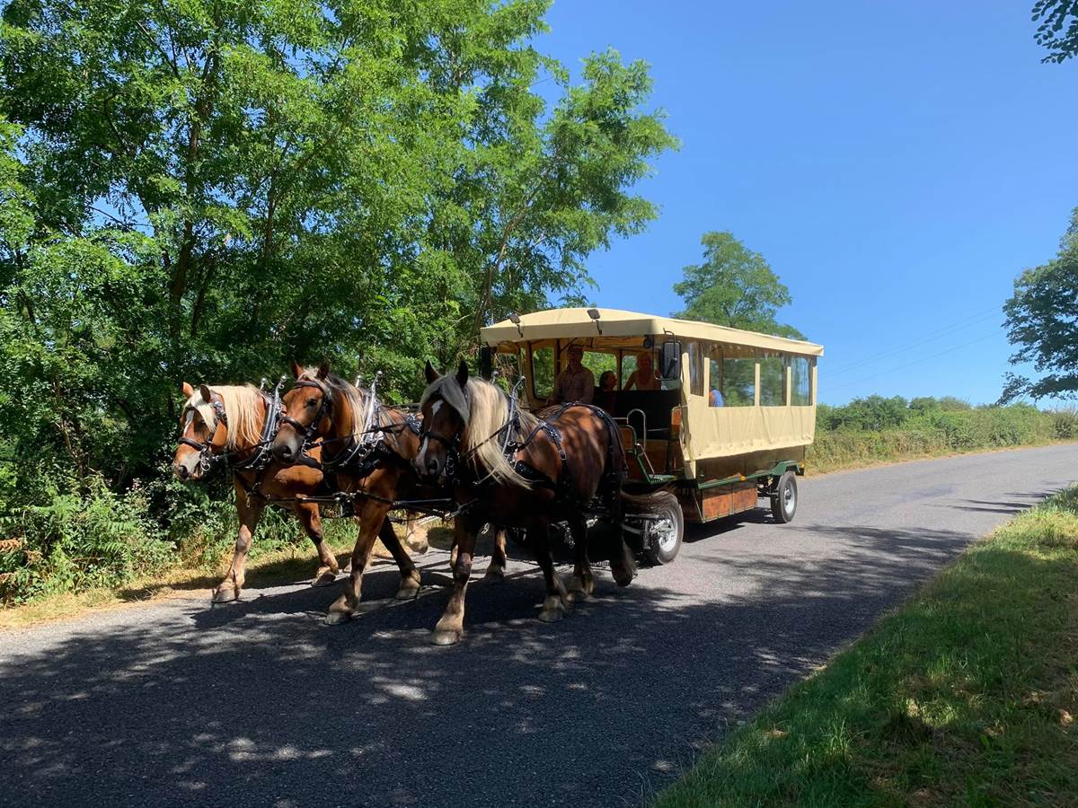 clos-de-l-isop_roulotte-a-manger_restaurant_insolite_haute-vienne_limousin_chevaux-photo-gallery