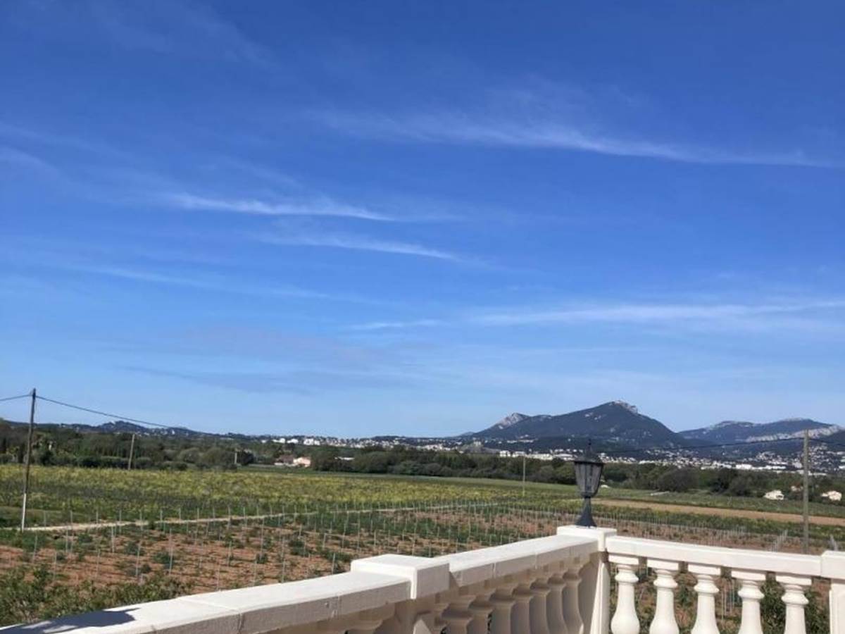 APPART DU VIGNERON 2