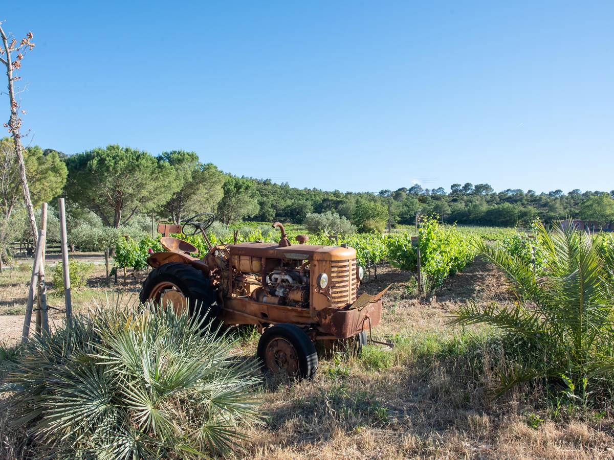 VIEUX TRACTEUR