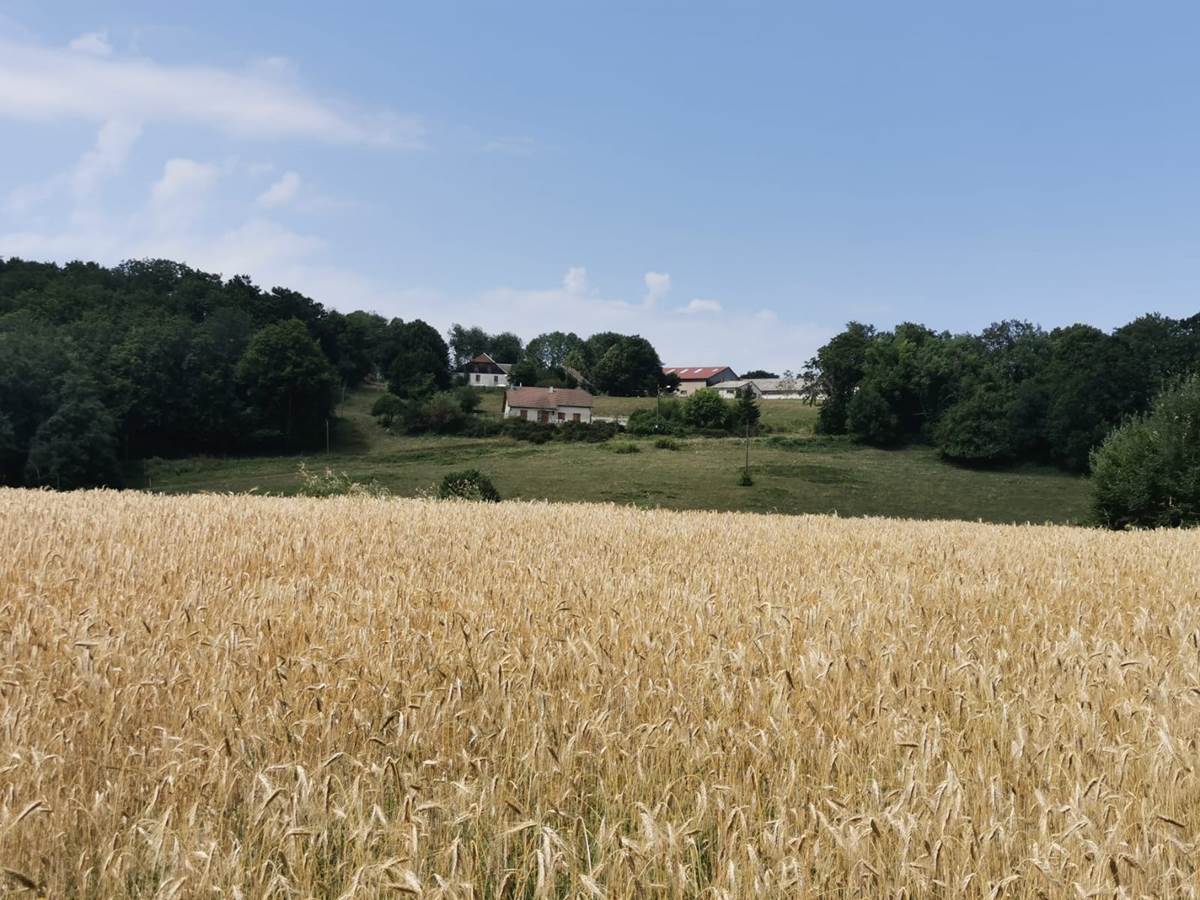 vue du gîte