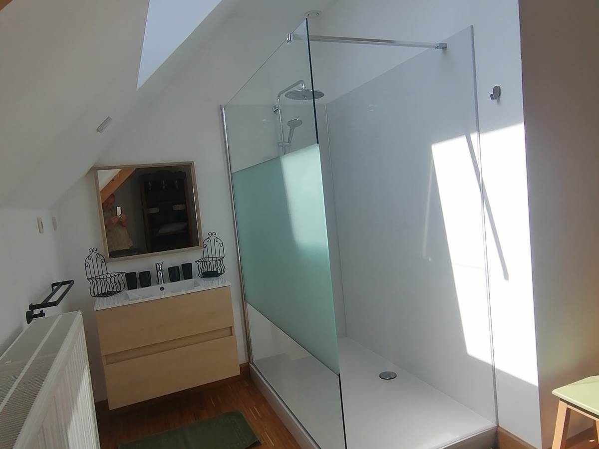 douche italienne in kamer met dubbel bed - dans  la chambre avec lit double