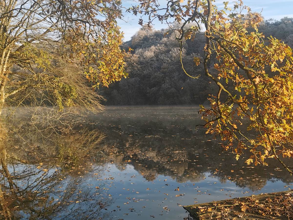 Awen_ponton_à l'automne_3