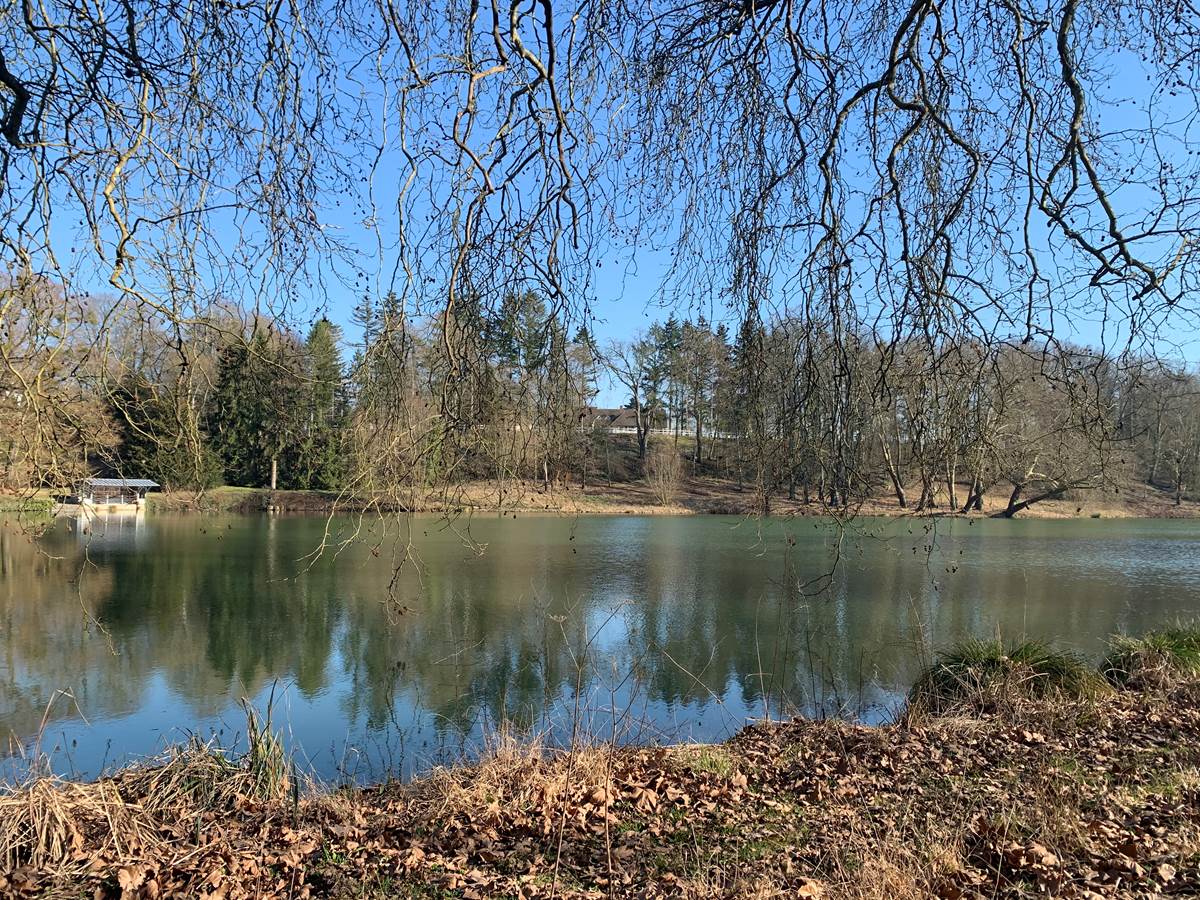 depuis le parc Jean Jacques Rousseau, on devine la Charmille
