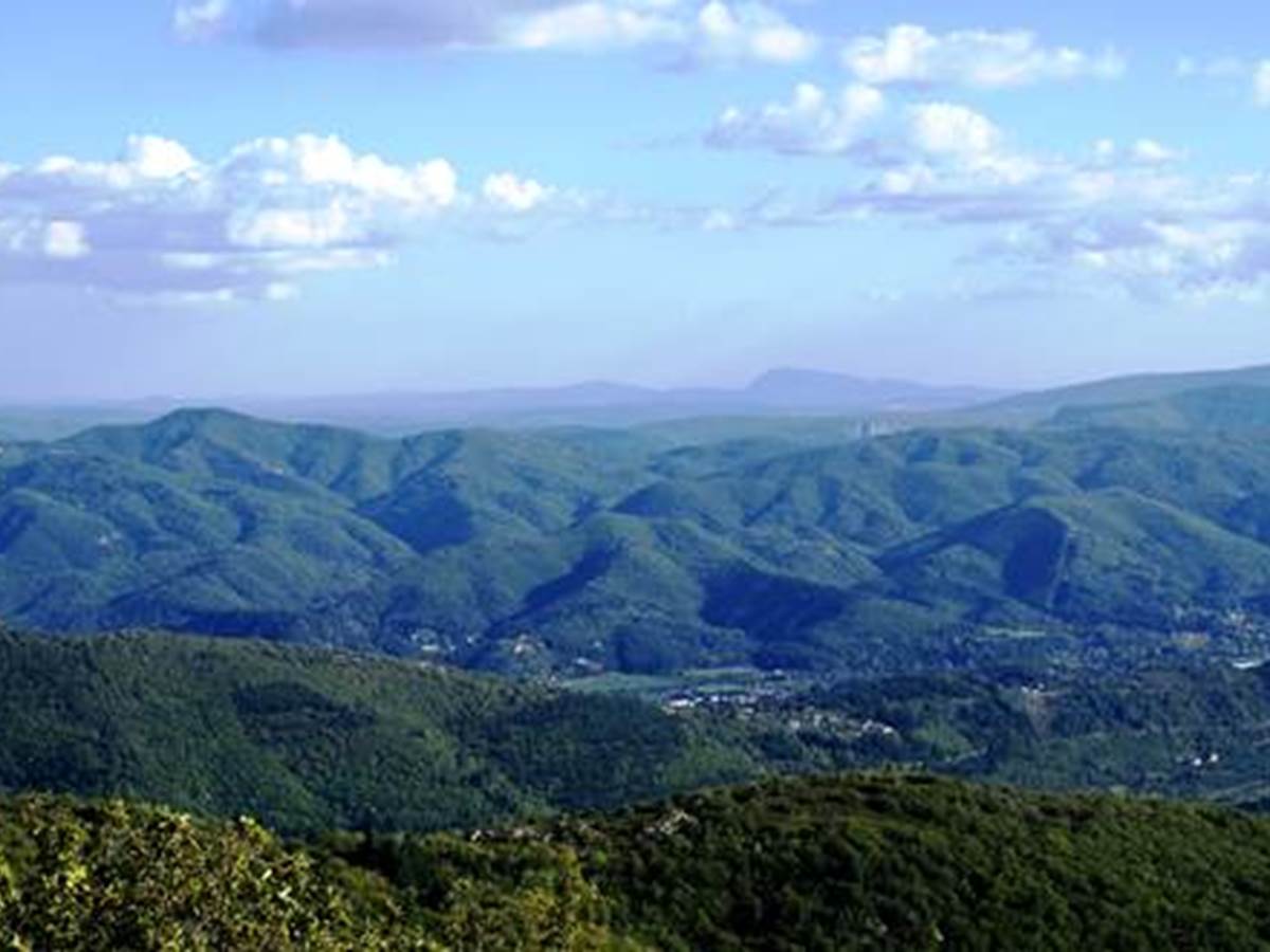 panorama du col de la cravate