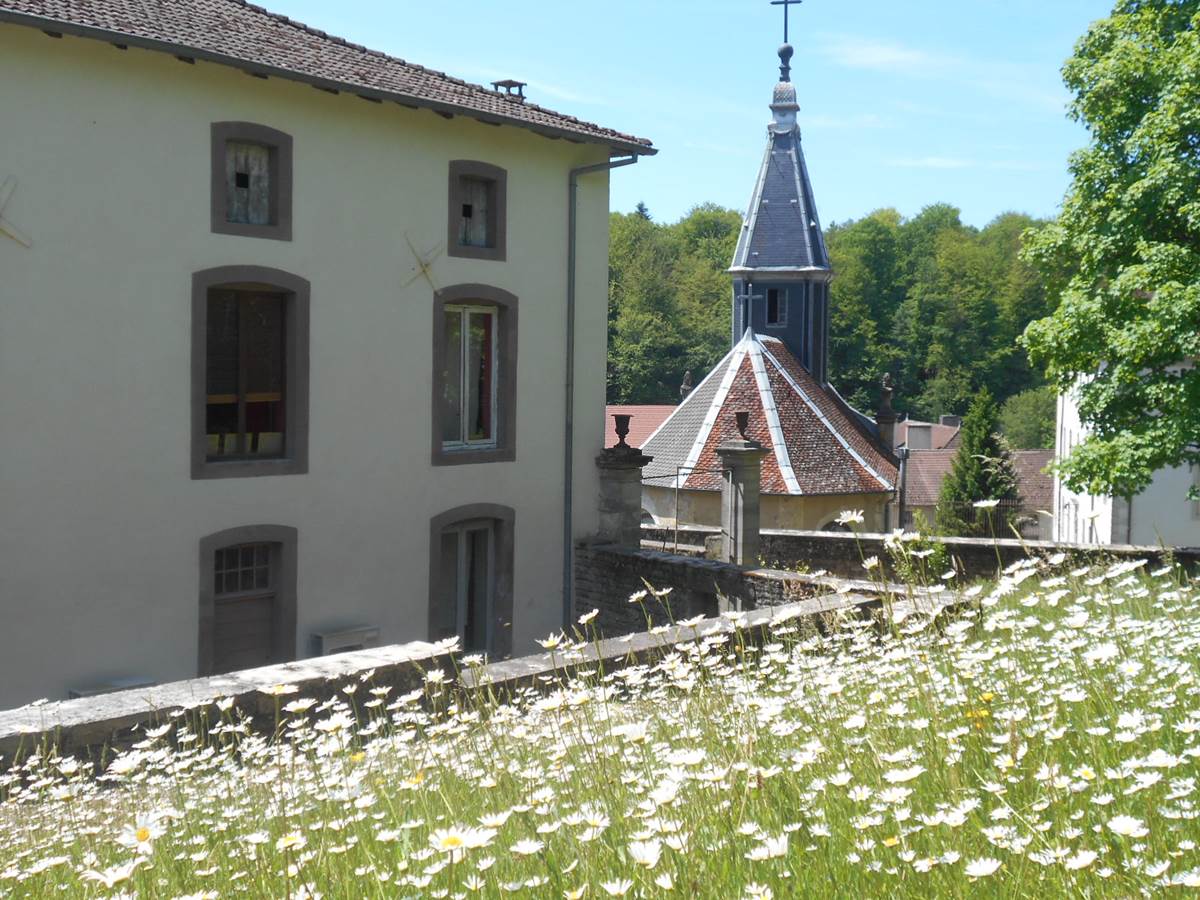 Vue arrière de la maison