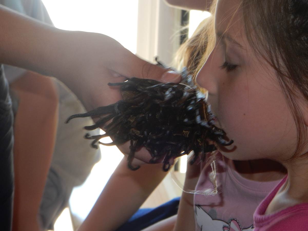Visite Glaces et Saveurs et Petit Marché du Glacier