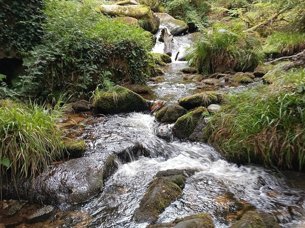 Cascades d'Augerolles