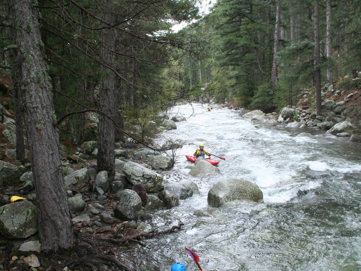 canoë kayak en rivière / forêt de Calasima