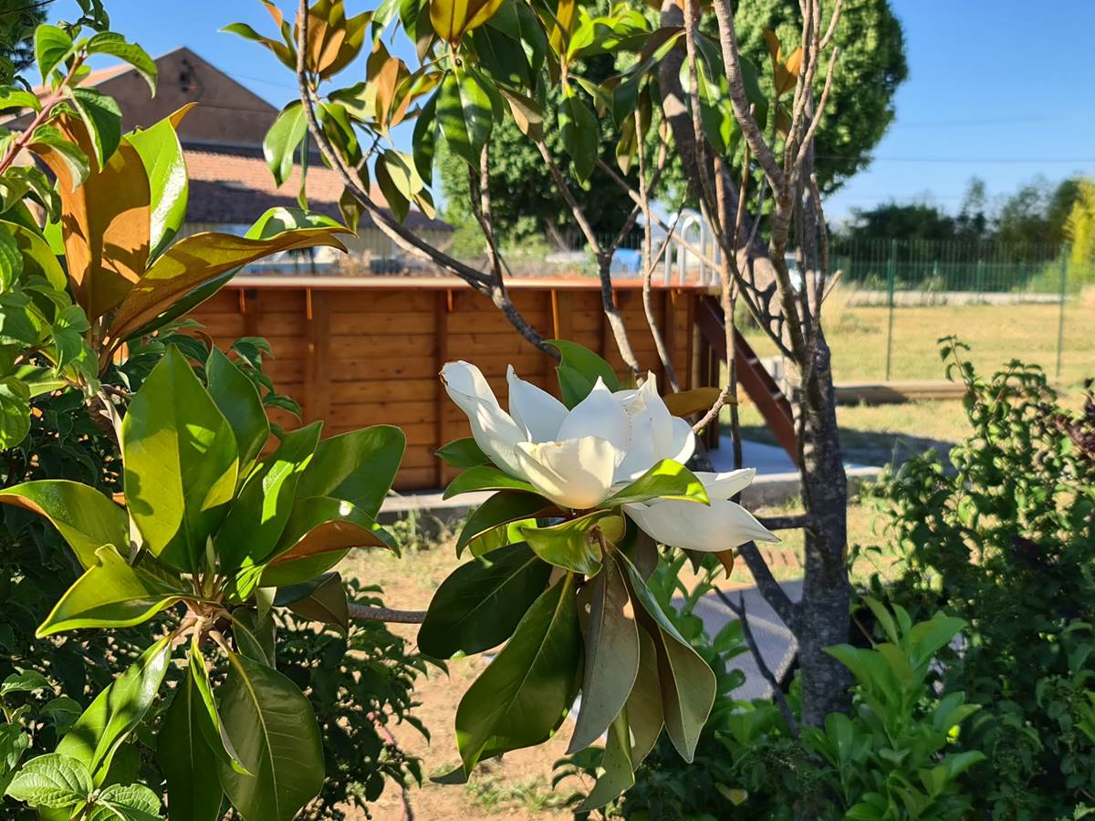 piscine avec vue Sainte Victoire