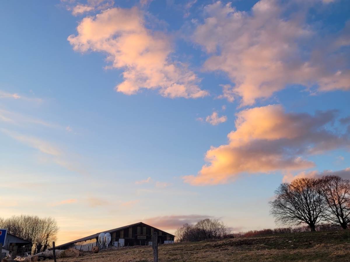 ciel sur le bâtiment agricole