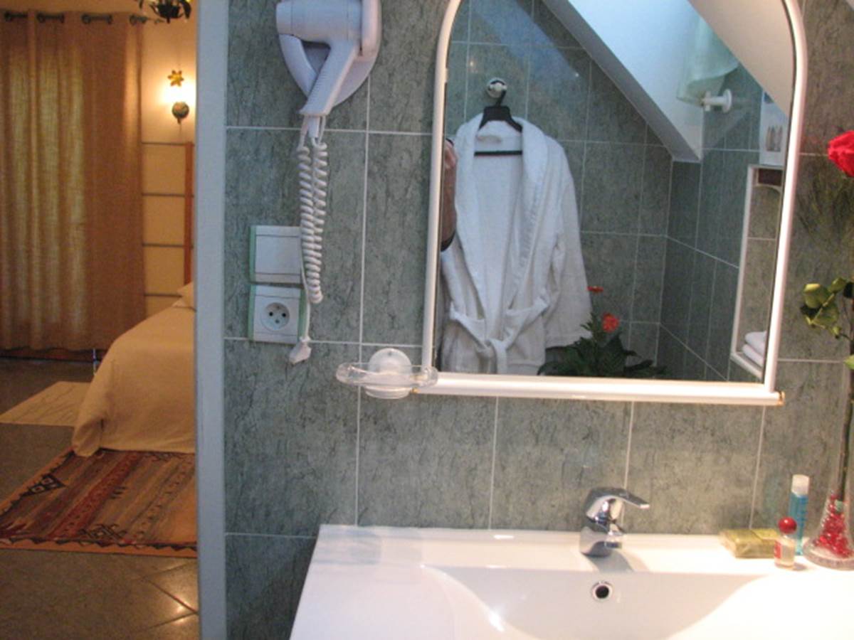 Salle de douche Chambre double Confort Le Pas de l' Âne Saint ONDRAS
