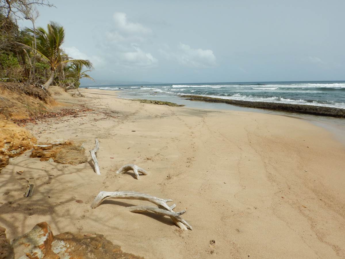 Plage des Surfeurs