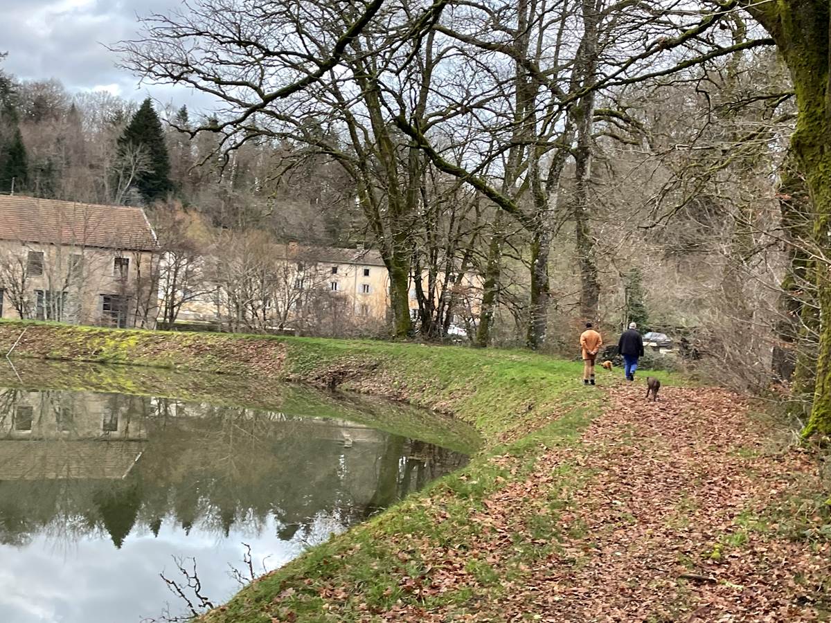 Le canal des Vosges passe derrière la halle au charbon