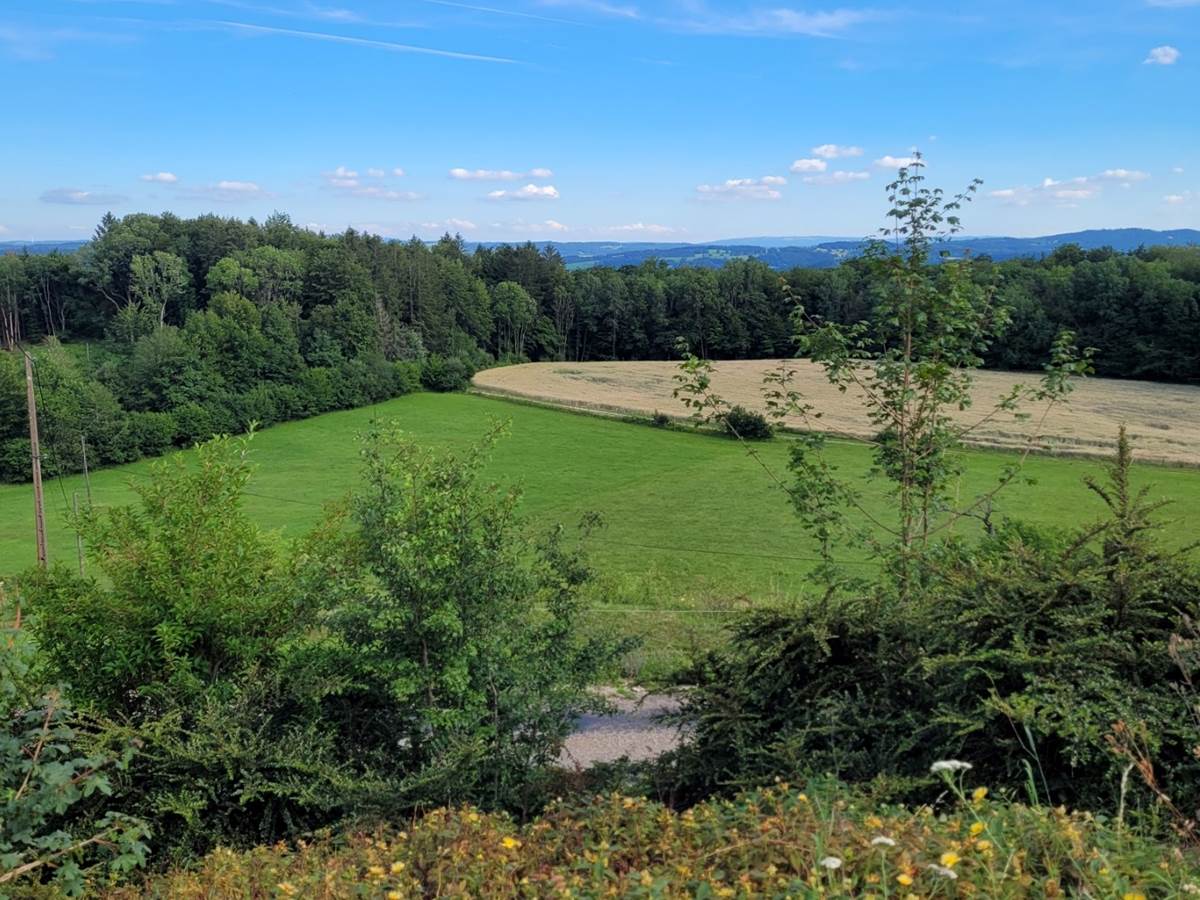 vue du gîte